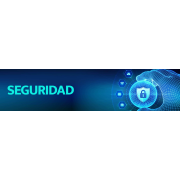 SEGURIDAD
